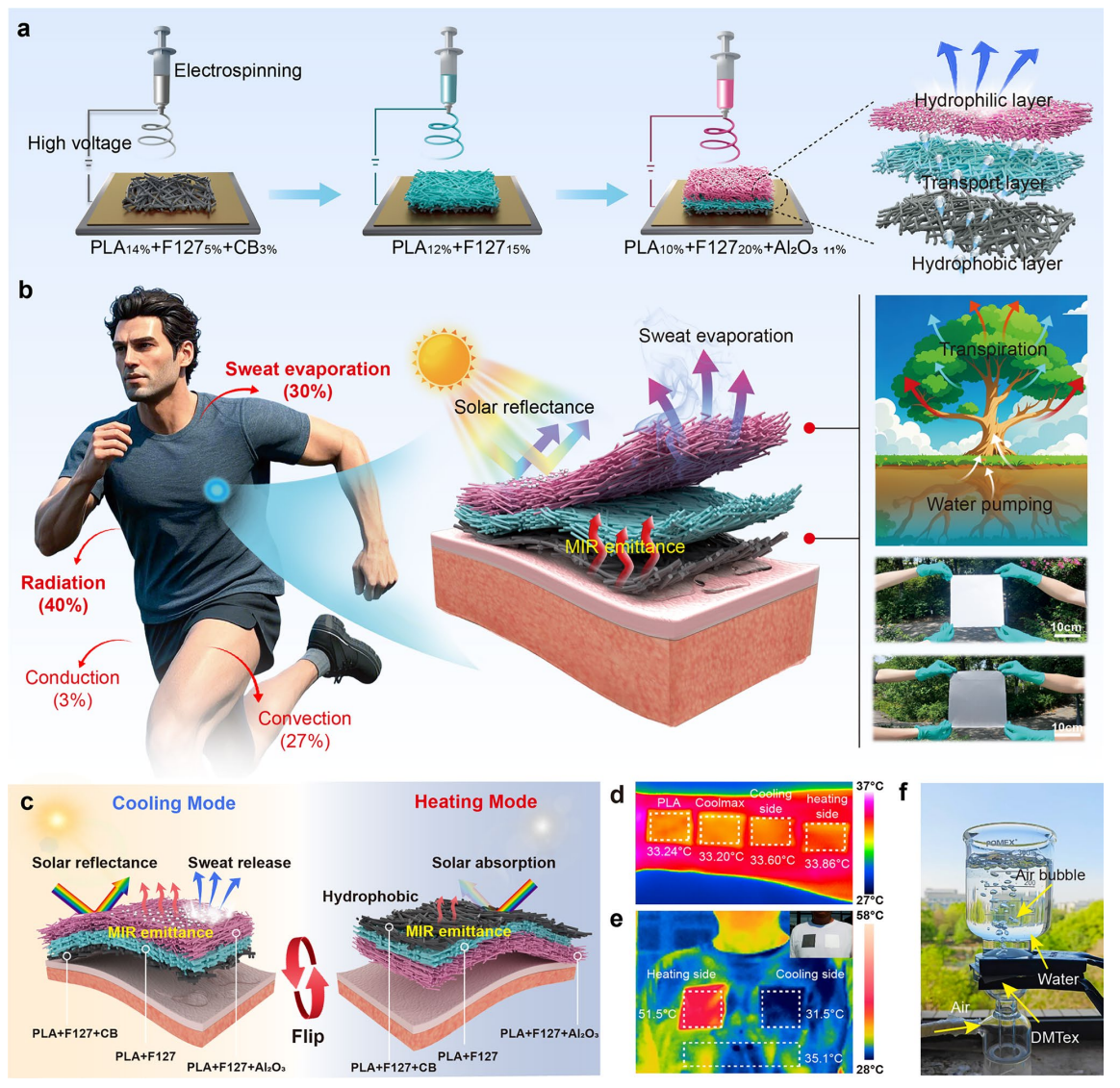 《Advanced Fiber Materials》：分层静电纺丝设计基于聚乳酸的双模式个人热管理纺织品